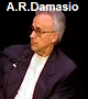 ar.damasio.png