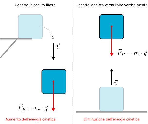 Vettori forza e velocità di un oggetto in caduta libera o lanciato verticalmente verso l'alto