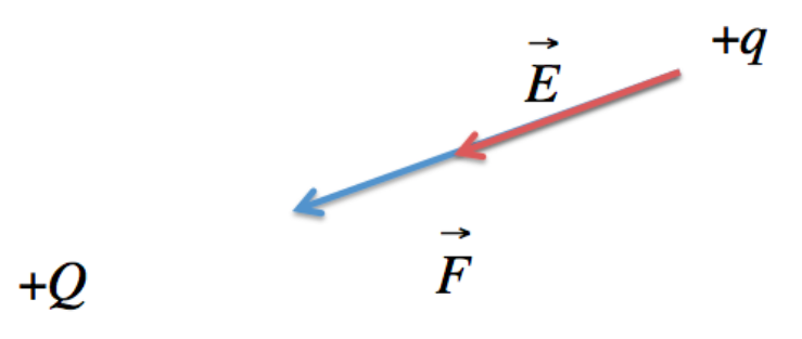 La Fisica Che Ci Piace Vettori